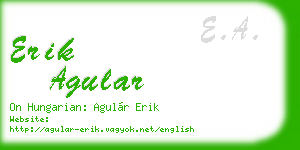 erik agular business card